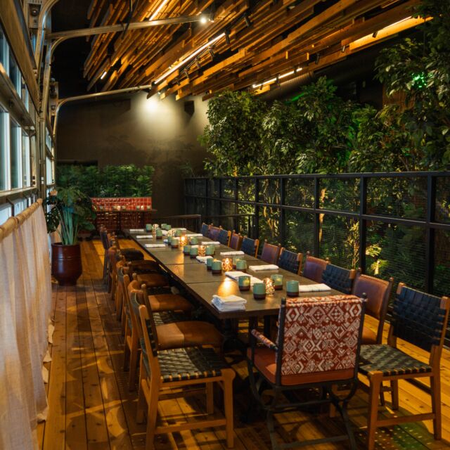 A long dining table set with chairs and candlelight in a room with greenery.
